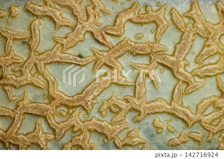 Cantaloupe Melon Skin Macro Close Up Texture Background Cantaloupe Melon Skin Macro Close Up Texture Background 142716924