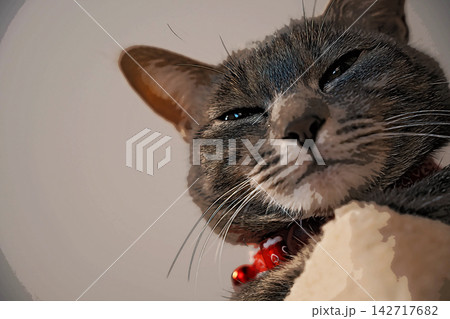 スケッチ風 猫 ネコ ねこ キジトラ グレー 雌 メス 雌ねこ 雌ネコ 元気 かわいい 癒し 142717682