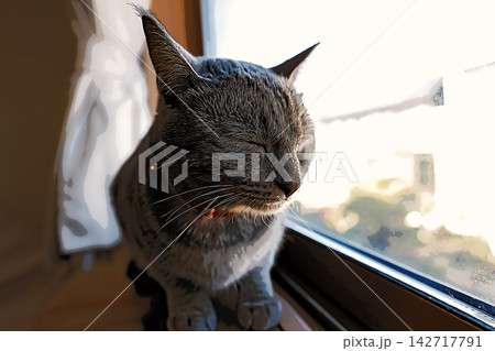スケッチ風 猫 ネコ ねこ キジトラ グレー 雌 メス 雌ねこ 雌ネコ 元気 かわいい 癒し スケッチ風 猫 ネコ ねこ キジトラ グレー 雌 メス 雌ねこ 雌ネコ 元気 かわいい 癒し 142717791