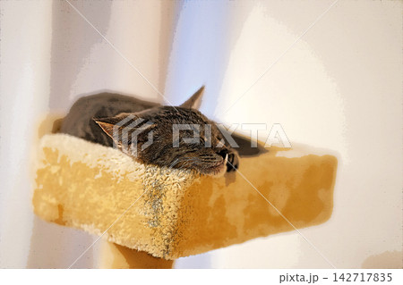 スケッチ風 猫 ネコ ねこ キジトラ グレー 雌 メス 雌ねこ 雌ネコ 元気 かわいい 癒し スケッチ風 猫 ネコ ねこ キジトラ グレー 雌 メス 雌ねこ 雌ネコ 元気 かわいい 癒し 142717835