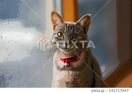 スケッチ風 猫 ネコ ねこ キジトラ グレー 雌 メス 雌ねこ 雌ネコ 元気 かわいい 癒し スケッチ風 猫 ネコ ねこ キジトラ グレー 雌 メス 雌ねこ 雌ネコ 元気 かわいい 癒し 142717847