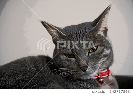スケッチ風 猫 ネコ ねこ キジトラ グレー 雌 メス 雌ねこ 雌ネコ 元気 かわいい 癒し 142717848