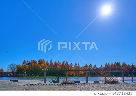 東京都葛飾区の水元公園から小合溜(こあいだめ)越しに埼玉県三郷市のみさと公園を見る 142718423