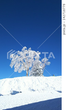 雪の降った後の樹氷 雪の降った後の樹氷 142718778