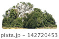 Rocky mountain peak covered with lush green trees and dense vegetation isolated. High resolution cliff and foliage cut out for landscape design and architectural compositing. 142720453