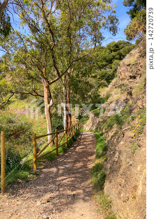 A winding hiking path leads to the historic fortress with walkable stone walls and sweeping panoramic city and coastal views in Malaga, Spain A winding hiking path leads to the historic fortress with walkable stone walls and sweeping panoramic city and coastal views in Malaga, Spain 142720739