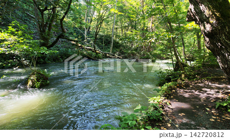 Oirase Gorge Stream flows from Lake Towada on the border of Aomori and Akita in Aomori Japan Oirase Gorge Stream flows from Lake Towada on the border of Aomori and Akita in Aomori Japan 142720812
