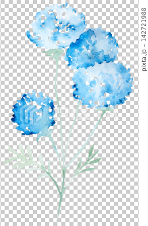 Watercolor light blue wildflowers, spring floral isolated illustration for stationery and greeting cards Watercolor light blue wildflowers, spring floral isolated illustration for stationery and greeting cards 142721988