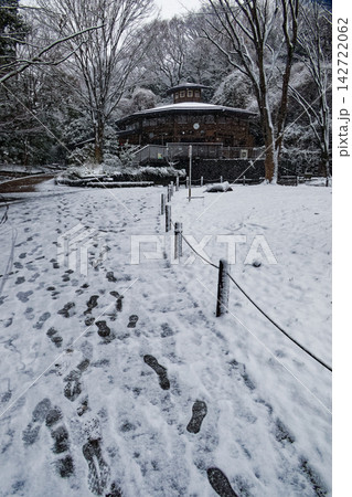 横浜・港北ニュータウン・鴨池公園の雪景色 142722062