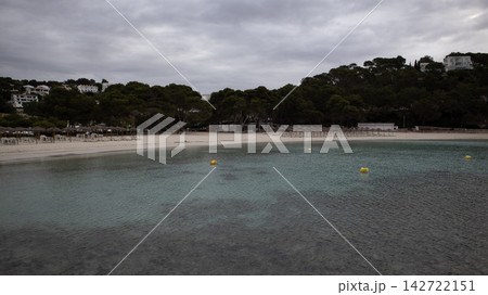 aerial view of beach and sea with coconut palm tree 142722151