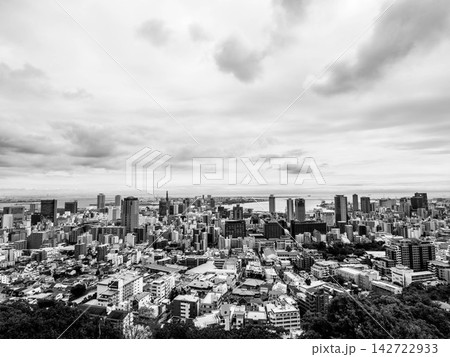 神戸の街を見下ろすヴィーナスブリッジからの景観 神戸の街を見下ろすヴィーナスブリッジからの景観 142722933