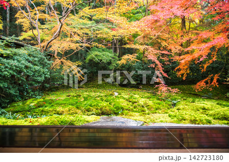 Wooden patio by autumn foliage garden of Ruriko-in Temple, Kyoto Wooden patio by autumn foliage garden of Ruriko-in Temple, Kyoto 142723180