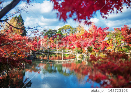 bridge across pond to Eikan-do shrine in autumn foliage garden, Kyoto bridge across pond to Eikan-do shrine in autumn foliage garden, Kyoto 142723198