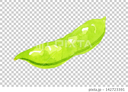 Green peas (single item) - Hand-drawn watercolor illustration material Green peas (single item) - Hand-drawn watercolor illustration material 142723391