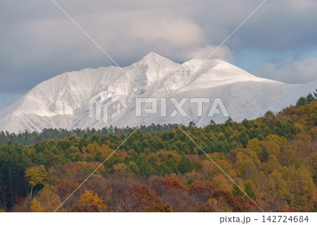 北海道美瑛町の晩秋に望む冠雪した十勝連峰と紅葉の森 秋から冬へ移ろう山岳風景 142724684