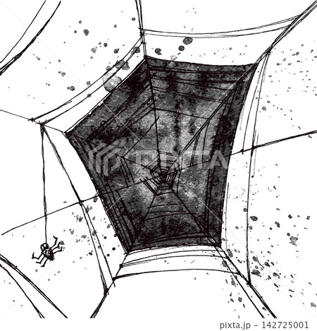 Vector hand pictured grunge spiders web 142725001