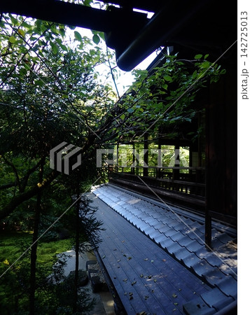 京都 瑠璃光院 屋根 秋 京都 瑠璃光院 屋根 秋 142725013