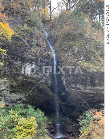 紅葉の森を流れ落ちる滝 142725119