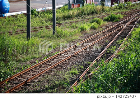 線路と雑草 142725437