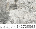 Natural stone texture found in a quarry showing shades of gray and white with veins and patterns 142725568