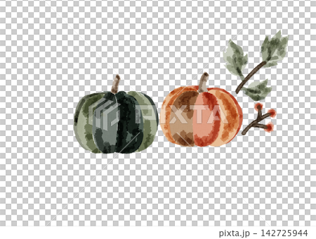 水彩で描いたかぼちゃ 水彩で描いたかぼちゃ 142725944