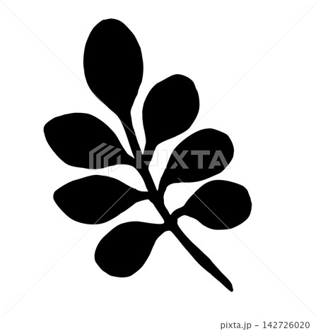 Silhouette of a branch with leaves. Vector illustration of vegetation. Simple black outline graphics hand-drawn in doodle style. Line drawing of forest nature. Clipart for postcards. Thanksgiving. Silhouette of a branch with leaves. Vector illustration of vegetation. Simple black outline graphics hand-drawn in doodle style. Line drawing of forest nature. Clipart for postcards. Thanksgiving. 142726020