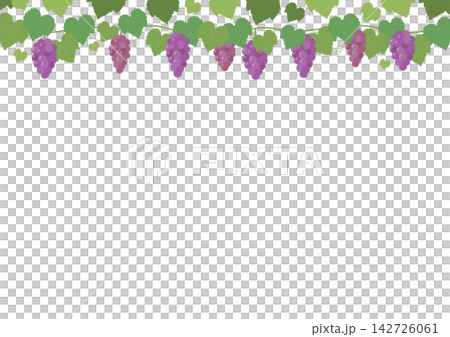 葡萄 - 秋季插畫素材 葡萄 - 秋季插畫素材 142726061
