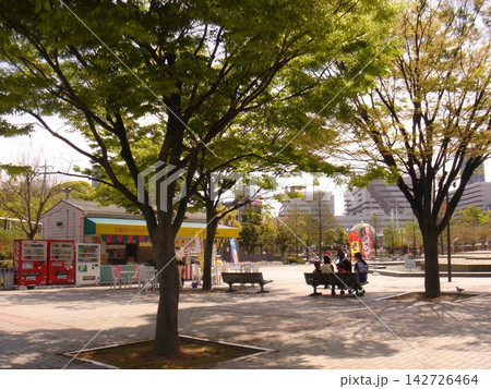 新緑に包まれる公園 新緑に包まれる公園 142726464