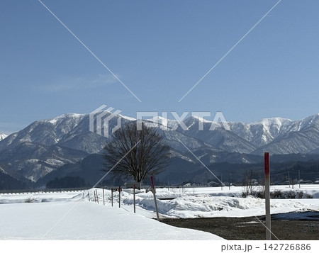 青空の下に広がる雪原と一本木 冬の山並み 青空の下に広がる雪原と一本木 冬の山並み 142726886