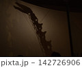 カマラサウルスの頭部 142726906