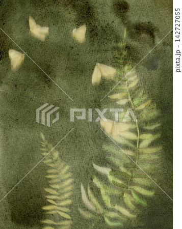 Moody dark green watercolor forest background with fern leaves and pale moths. Moody dark green watercolor forest background with fern leaves and pale moths. 142727055