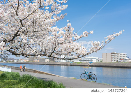 満開の桜と川沿いを散歩する二人、自転車とボートのある春の風景 満開の桜と川沿いを散歩する二人、自転車とボートのある春の風景 142727264