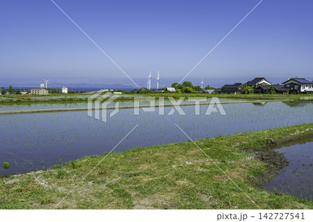 所子　田植え直後の水田　鳥取県大山町 142727541