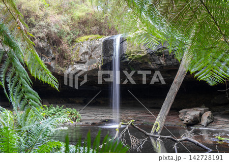 Kalimna Falls along Cumberland River trek, Great Ocean Road, Australia Kalimna Falls along Cumberland River trek, Great Ocean Road, Australia 142728191