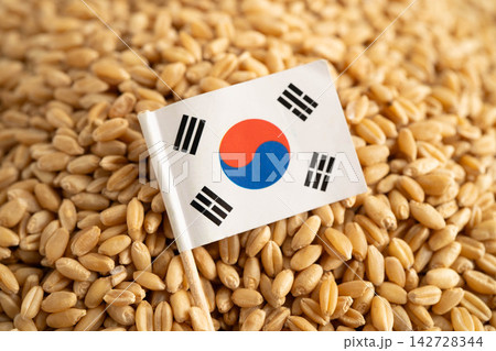 South Korea flag on grain wheat, trade export and economy concept. South Korea flag on grain wheat, trade export and economy concept. 142728344