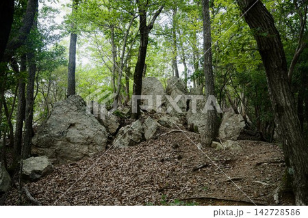 川辺城跡の登山道にある巨石群 川辺城跡の登山道にある巨石群 142728586