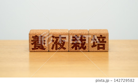 養液栽培と書かれた木製ブロック 142729582