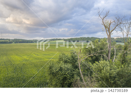 rural lanscape of central MIssouri with corn and soybean fields rural lanscape of central MIssouri with corn and soybean fields 142730189