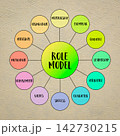 role model, business, education and personal development concept, diagram infographics 142730215