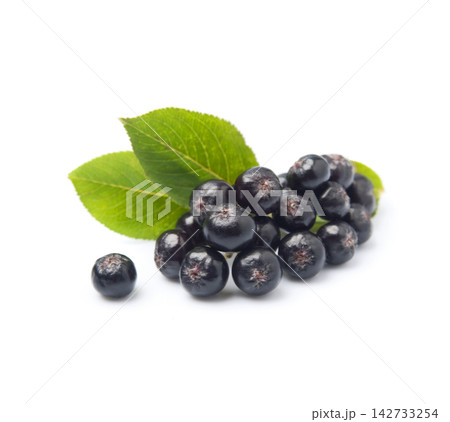 Aronia berries with leaves 142733254