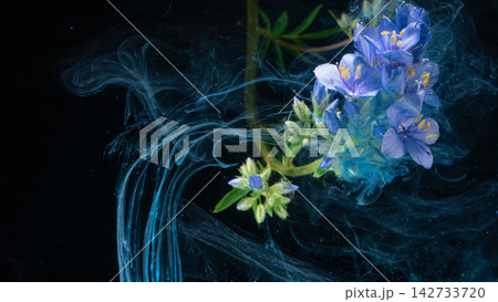 Blue wildflower cluster with swirling turquoise ink plumes on black abstract background 142733720