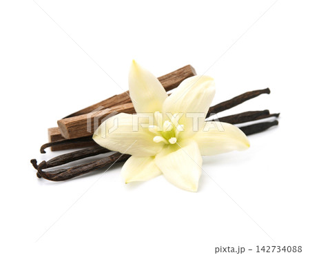 Vanilla stick with flower Vanilla stick with flower 142734088