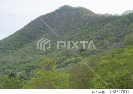 新緑の赤城山 新緑の赤城山 142737055