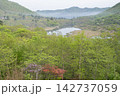 新緑の赤城山 142737059