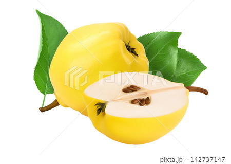 Fresh quince half isolated on the white background with clipping path and full depth of field Fresh quince half isolated on the white background with clipping path and full depth of field 142737147