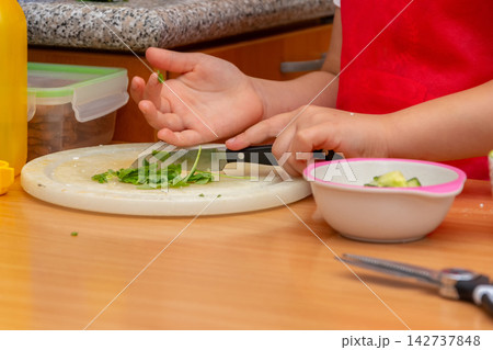 Child chopping fresh herbs on kitchen cutting board during cooking 142737848