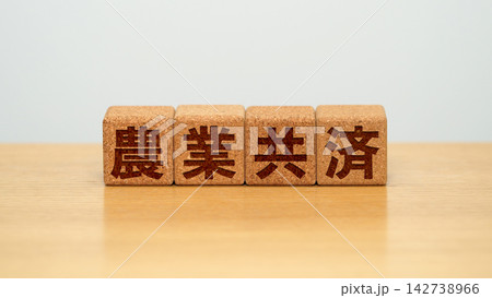 農業共済と書かれた木製ブロック 142738966