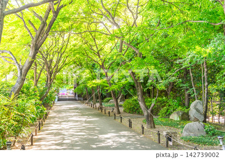 高円寺 142739002