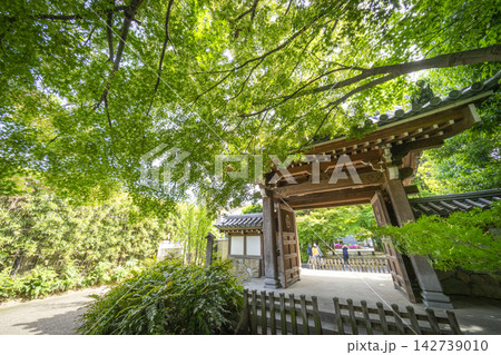 高円寺 142739010