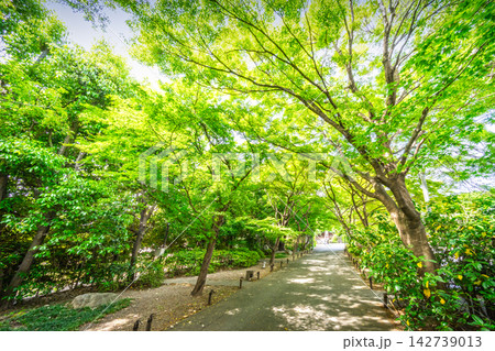 高円寺 142739013